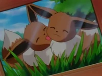 Dos Eevee en una de las fotografías de Todd.