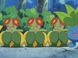 EP339 Pokémon bailando