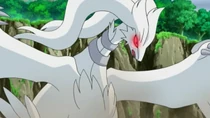 Imagen de Reshiram