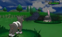 Polución XY.png (107 kB) Houndour usando polución en la sexta generación.