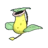 Victreebel XY