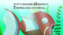 EP1014 Magikarp