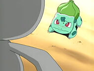 Bulbasaur vs Banette.