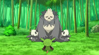 EP815 Pancham deteniendo a Pangoro de atacar a Chespin