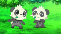 EP815 Amigos Pancham