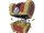 Gimmighoul