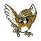 Imagen de Pidgeotto variocolor en Pokémon Plata