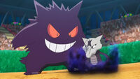 EP1074 Gengar usando Ladrón.jpg (579 kB) Gengar de Acerola/Zarala de Acerola/Zarala de usando Ladron para robar el hueso a Marowak de Alola de Kiawe.