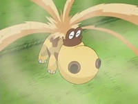 Hippopotas usando bucle arena.