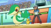 Snivy junto a Ash.