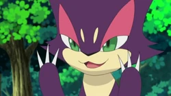 EP706 Purrloin