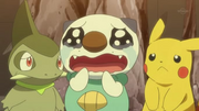 EP759 Oshawott llorando