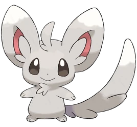 Minccino