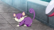 Imagen de Rattata