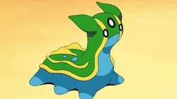 EP655 Gastrodon