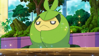 EP685 Swadloon de Ash