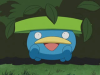 EP339 Lotad de Brock