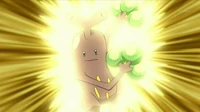 Sudowoodo de Brock usando doble filo.