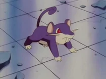Imagen de Rattata