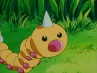 Imagen de Weedle