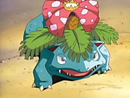 EP441 Venusaur de Aniceto