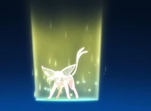 ... para curar a Umbreon de Haruhi.