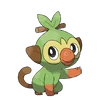 Grookey