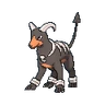 Houndoom XY hembra
