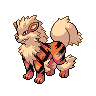 Arcanine NB