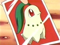 EP119 Foto de Chikorita