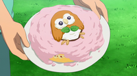 EP954 Tarta Rowlet