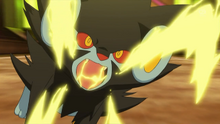 Luxray de Clemont/Lem usando colmillo rayo.