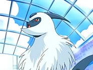 EP457 Absol de Drew