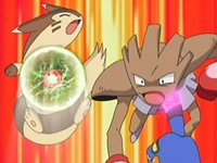 EP520 Furret y Hitmonchan