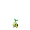 Turtwig