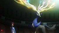 Xerneas de Kalm en el Miniepisodio 4 El visionario.