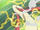 EP435 Milotic sufriendo.png