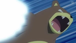 EP1168 Ursaring de Katsuki