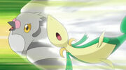 Pidove vs. Snivy.