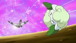 EP703 Cottonee debilitado