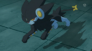 EP870 Luxray de Lem