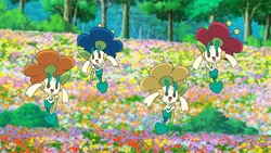 EP1155 Floette de Goh