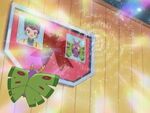 EP338 Dustox de Jessie