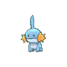 Mudkip
