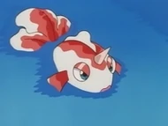 Goldeen en el agua.