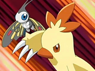 EP464 Beautifly y Combusken