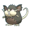 Raticate de Alola
