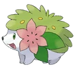 Shaymin forma tierra
