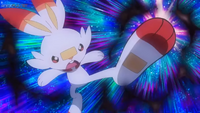 Scorbunny peleando contra Toxicroak en el EP1179.