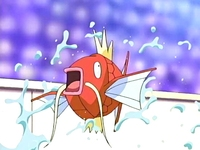 Un Magikarp usando salpicadura.